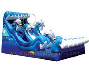 inflatable water slide